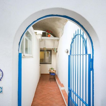 Appartamento Panoramico La Rosa Dei Venti - Maestrale Ischia Exteriér fotografie