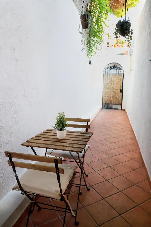 Appartamento Panoramico La Rosa Dei Venti - Maestrale Ischia Exteriér fotografie