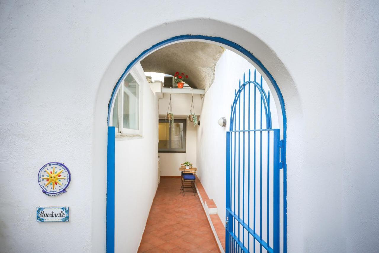 Appartamento Panoramico La Rosa Dei Venti - Maestrale Ischia Exteriér fotografie